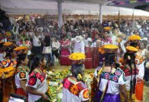 Festival de la Huasteca honra a las mujeres como guardianas de la tradición en su edición XXIX