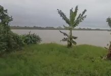 Apertura de presa en Puebla podría elevar niveles de ríos en el Totonacapan