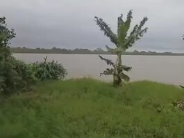 Apertura de presa en Puebla podría elevar niveles de ríos en el Totonacapan