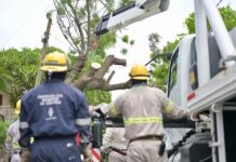 Atiende Ayuntamiento de Veracruz 41 afectaciones por Frente Frío No. 2 y mantiene operativo en toda la ciudad