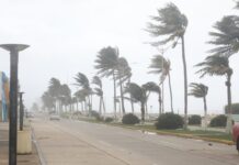 Continuarán lluvias en el sur durante las próximas 48 horas; baja intensidad del Norte en Veracruz