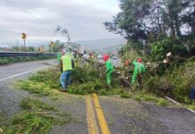 Atiende SICT Veracruz incidencias en la red carretera federal ocasionadas por las lluvias