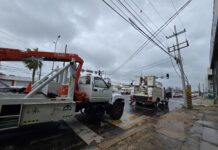 Más de 100 empleados y 45 plantas de luz atenderán afectaciones de electricidad en Coatzacoalcos