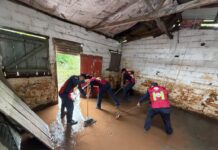 Continúa el Plan Tajín en apoyo a familias afectadas por el frente frío 2 en el sur de Veracruz