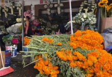Llega flor de Puebla al mercado San José para Día de Muertos