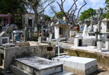 Celebrará Coatzacoalcos el Día de Muertos con cinco días de actividades culturales