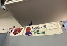 Colectivas feministas de Veracruz convocan a asamblea estatal para agenda legislativa nacional