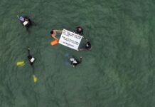 Ambientalistas y pescadores exigen que cese ampliación del puerto de Veracruz