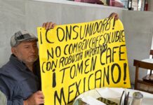 Advierten desplome en precios del café veracruzano por importaciones masivas de grano “barato”