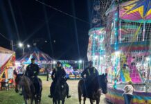 Despliega SSP mil 700 elementos para brindar seguridad durante Día de Muertos