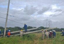 CFE trabaja en el restablecimiento del suministro eléctrico en Veracruz afectado por el Frente Frío 2
