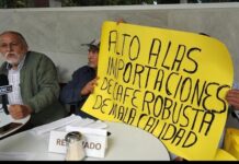 Cafetaleros veracruzanos denuncian bajos precios y exigen aplicar nueva ley