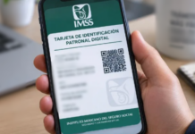 Invita IMSS a patrones a tramitar su Tarjeta de Identificación Patronal