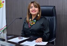 OPLE Veracruz abre camino para que las voces de los pueblos indígenas sean escuchadas rumbo al PELO 2026-2027