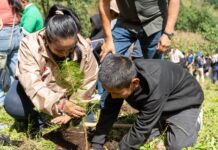 Sedema y Alpatláhuac reforestan 55.5 hectáreas en las Altas Montañas
