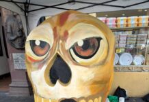 Artistas inician intervención de 33 cráneos monumentales en el centro de Xalapa