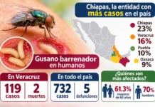 Veracruz concentra 119 casos y 2 defunciones por gusano barrenador en humanos
