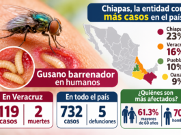 Veracruz concentra 119 casos y 2 defunciones por gusano barrenador en humanos