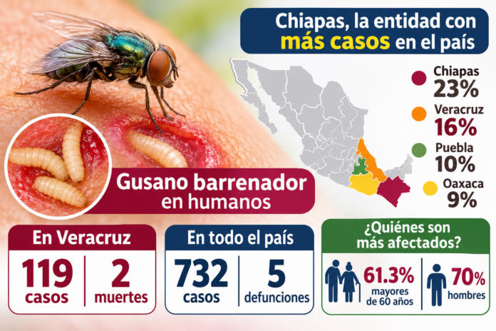 gusano barrenador