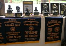 Reconoce Gobernadora calidad del ganado y trabajo de productores del sur